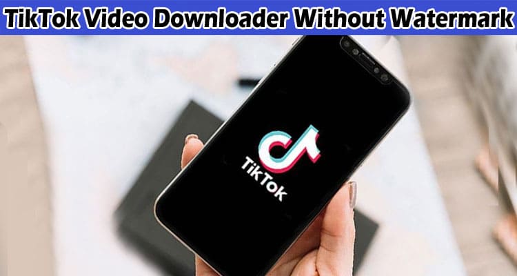 Complete Information About PPPTik - An Ultimate TikTok Video Downloader Without Watermark
